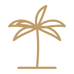 Palm tree line icon